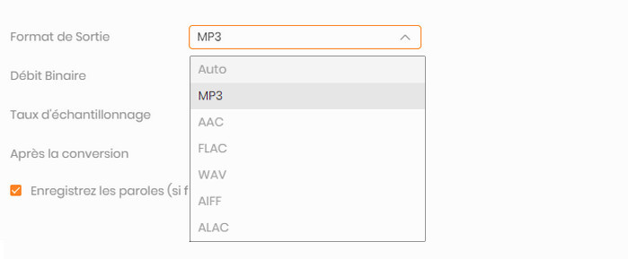 Prise en charge de divers formats audio populaires
