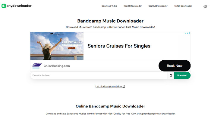 Anydownloader Bandcamp Music Downloader