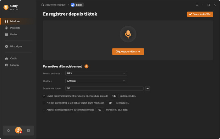 Enregistrez de la musique TikTok en MP3