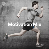 Motivation Mix