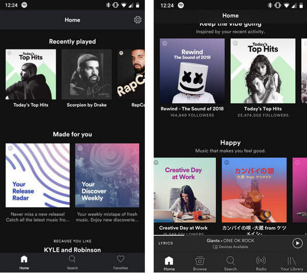 Spotify Standard vs Spotify Lite