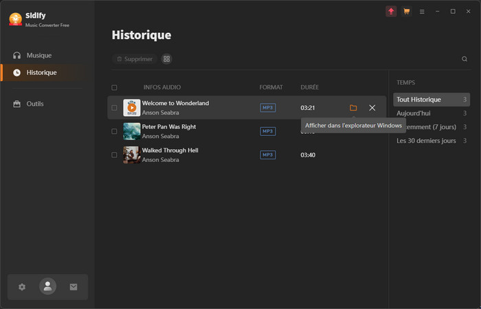 Voir l'historique des conversions